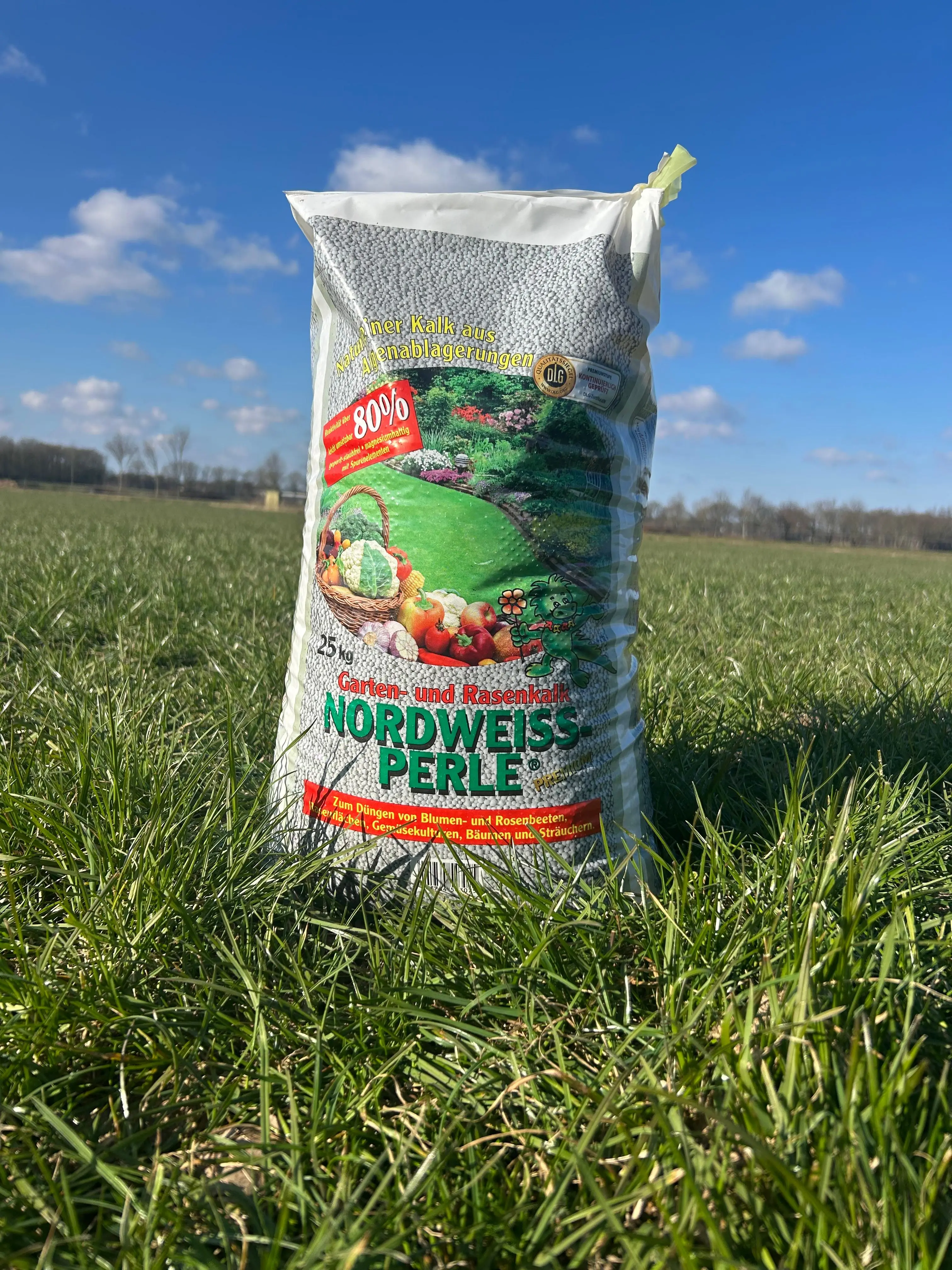 Magnesium korrelkalk